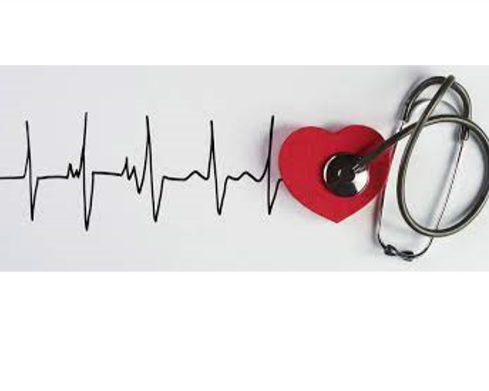 CVRM-verdiepingscursus